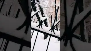 КАЙСИ УЙГА ФАРИШТАЛАР КИРМИДИ