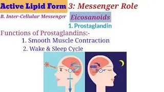 Lecture-10(P5)| Active Lipids Form | Eicosanoids | Pigment | Menthol | Paracrine Role | CSIR-NET-JRF