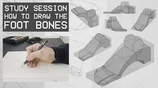 How To Draw The Bones For The Feet (Study Session)