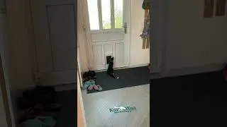 Дверца для кошек Petsafe Extreme Weather S