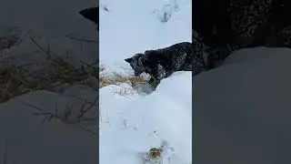 18 февраля 2022 г.