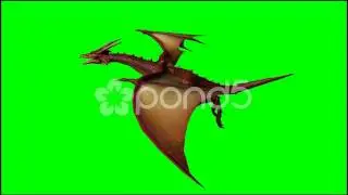 Dragon In Flight - Green Screen