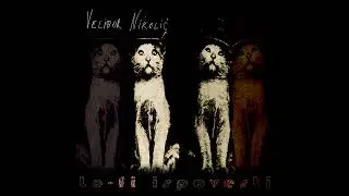 Velibor Nikolić - Glava Vampira