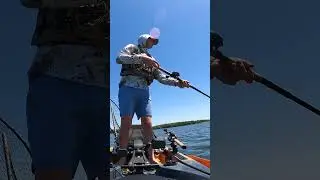 He Missed! | Musky at the Kayak #muskie #musky #kayakfishing