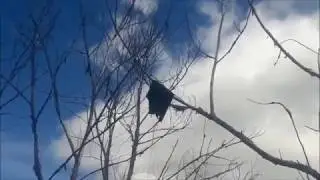 Архивные запуски самодельных ракет (ПРР-5)
