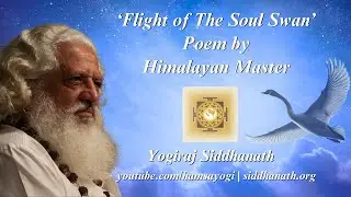 Flight of the Soul Swan | Poem | Yogiraj Siddhanath
