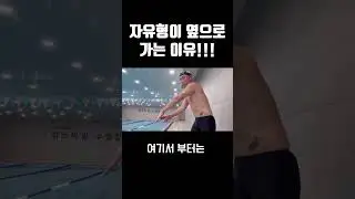 자유형이 옆으로 가는 이유!!!