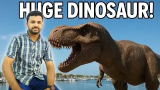 Exploring Marina || Found a Massive Dinosaur 😱