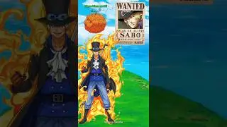 Wellerman Bounty || Revolutionary Army wanted poster in One Piece #onepiece #edit #shorts