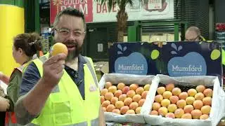 What's in Season - Kylese Apricot