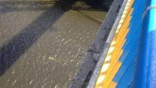 Житомир Мост Rope Jumping