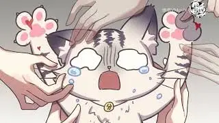 【Project Snow 】I woke up and became a plaything for women!? 【Why do I have to undergo sterilization】