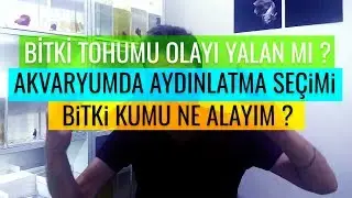 Zemin Bitkisi Tohumu Yalanı - Bitki Akvaryumlarında Aydınlatma ve Kum Seçimi - Fotosentez Manyaklığı