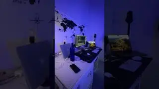 #swiftlang