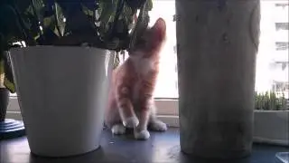 It's all about having fun - Featuring Sasha