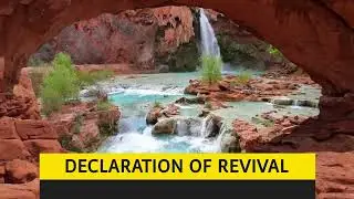 DAILY PROPHETIC UTTERANCE "REVIVAL DECLARATION" PASTOR ROBERT CLANCY