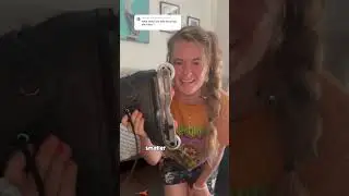 What are aggressive skates!? 🤯 