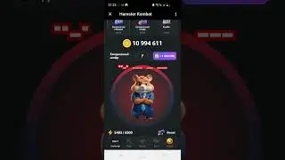 шифр код ХАМСТЕР КОМБАТ 25 26 июня забрать 1 млн монет #hamsterkombat