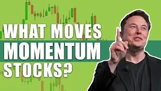 What Moves Momentum Stocks? (where to buy Tesla)