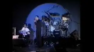 עופר לוי אוהב לחיות