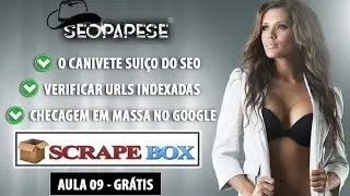 Aula 09 SCRAPEBOX 🙌 Verificando Links Indexados 😍 no Google em Massa 🏆 CURSO SEOPAPESE