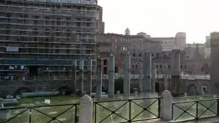 Schieramento gabbiani