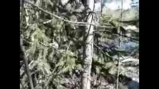 КАРТОШЕЧКА...... Александра Дружинина.