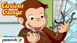 George's Wiggly Worm Race! | CURIOUS GEORGE