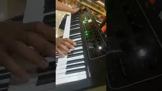 𝗬𝗮𝗺𝗮𝗵𝗮 𝗖𝗞 𝟲𝟭 𝗦𝘁𝗮𝗴𝗲 𝗞𝗲𝘆𝗯𝗼𝗮𝗿𝗱 || My Custom Layers Sounds Demo 🎹 #yamahakeyboard
