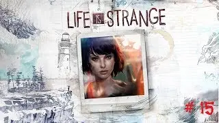 Life is Strange #15 Butterfly Effect