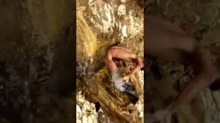 Pemuda Ketahuan mesum di kali