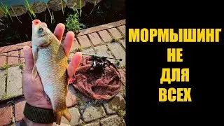 МОРМЫШИНГ НЕ ДЛЯ ВСЕХ \ GAMMARUS NJ