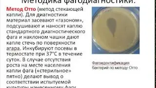 Медицинские иммунобиологические препараты - бактериофаги, сыворотки, иммуноглобулины.
