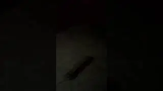 зимовка началась, на улице плюсовые температуры.