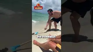 Когда Мужчина Увидел Детёныша Ската, Он Решил Ему Помочь😳 #shorts