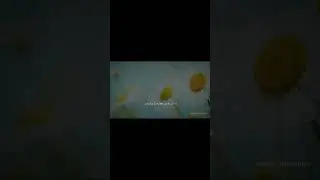 الشعور العالي تجاه الاحداث