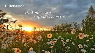 В.Левашов Над полями зорька светлая... на детской гармошке