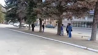 Ёлочки у Политеха..Как студенты красоту убивают...