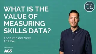 WHAT IS THE VALUE OF MEASURING SKILLS DATA? Interview with Toon van der Veer