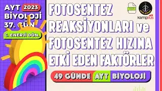37) Fotosentez Reaksiyonları ve Fotosentez Hızına Etki Eden Faktörler | AYT Biyoloji Kampı 37. Gün