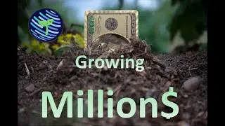 Can you become a Dollar Millionaire?