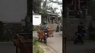 Anjing juga naik motor#jalanjalan