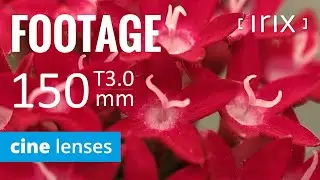 Irix Cine Lens 150mm T3.0 Macro 1:1 | Sample Footage on BMPCC 6K