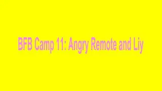 BFB Camp 11: Angry Remote and Liy
