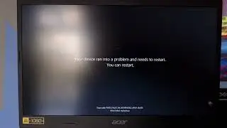 YTPMV Vietnamese Commercial Logos Scan Has BSOD