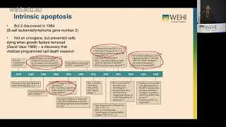 Vince J (2023):Cell death triggered immune responses in health and disease
