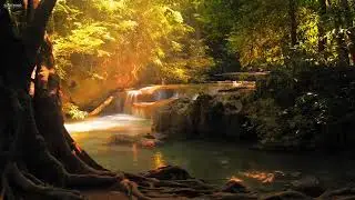Music relax