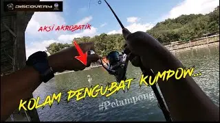 🔵Kolam Anti Kumpow | Kolam air masin bawah Taman U Sri Kembangan 