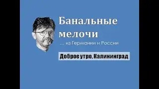 Доброе утро, Калининград