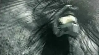 Halo 3/Mad World Mix